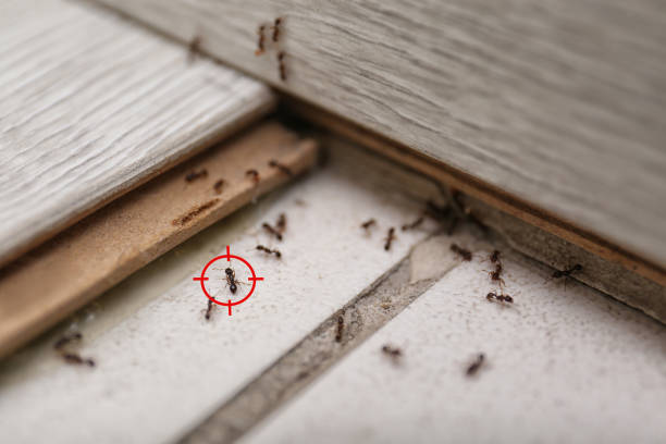 East Sparta, OH Pest Control Company