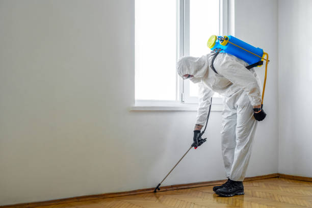 Best Termite Control Services  in East Sparta, OH