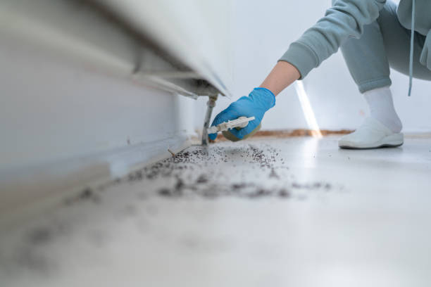 Best Pest Removal Services  in East Sparta, OH