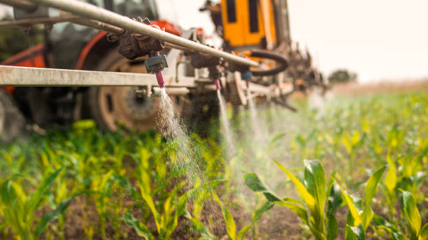 Best Pest Prevention Services  in East Sparta, OH